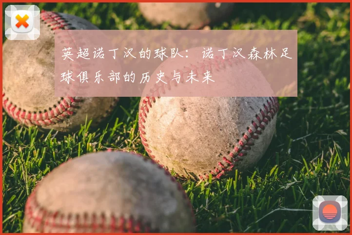 英超诺丁汉的球队：诺丁汉森林足球俱乐部的历史与未来